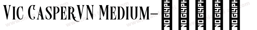 Vic CasperVN Medium字体转换